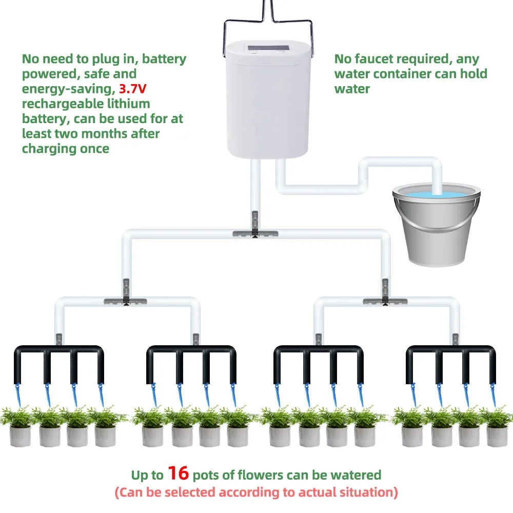 Pompe d'arrosage automatique pour plantes et fleurs